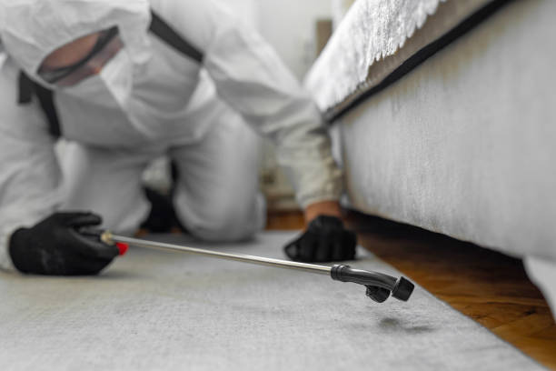 Professional Termite Control technician working in Elkton, MD