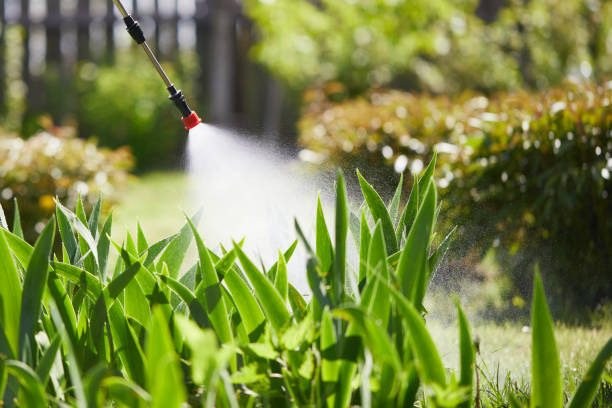 24/7 Emergency Termite Control experts in Elkton, MD